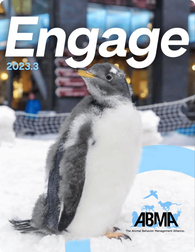 ABMA Engage publication design