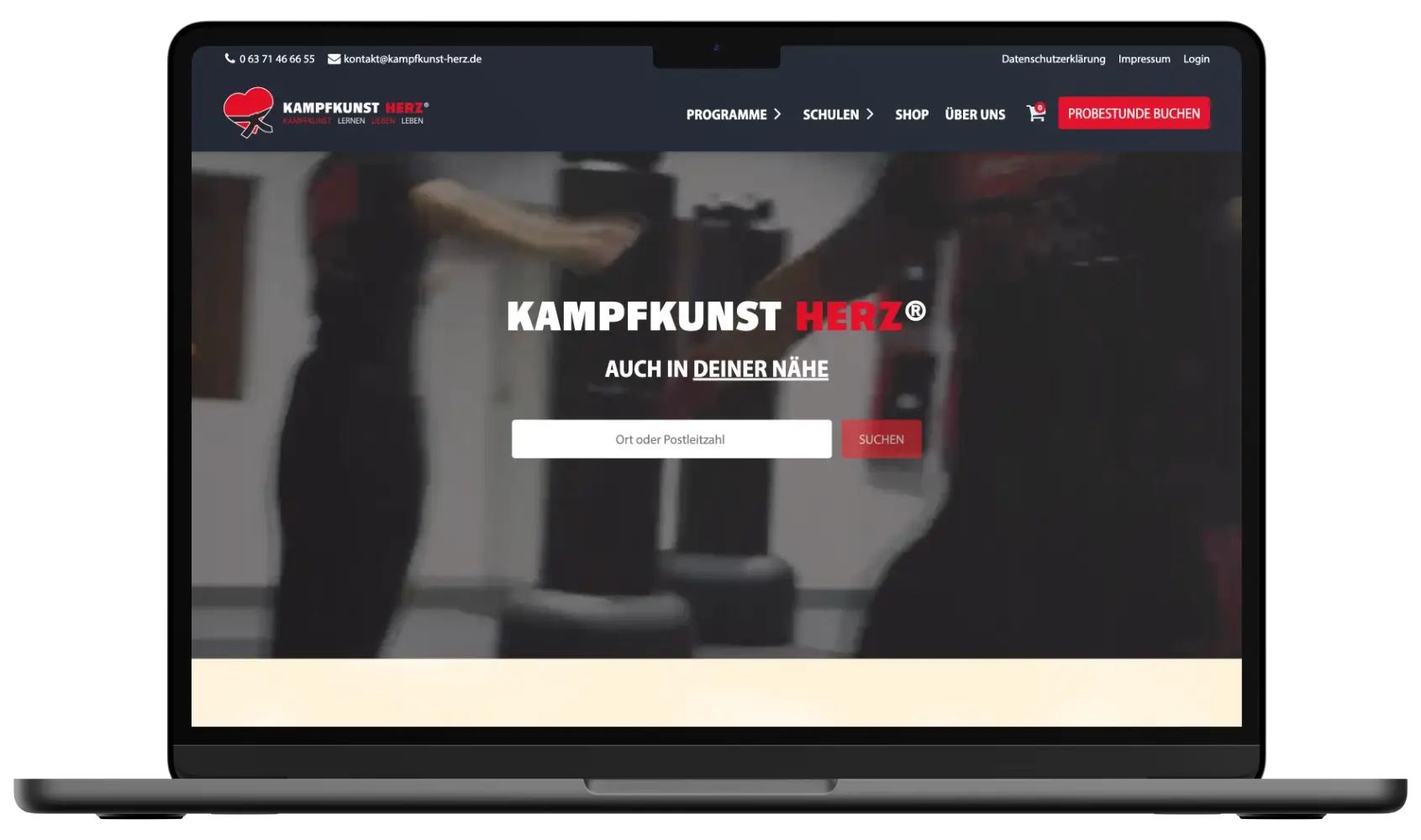 Kampfkunst Herz website design